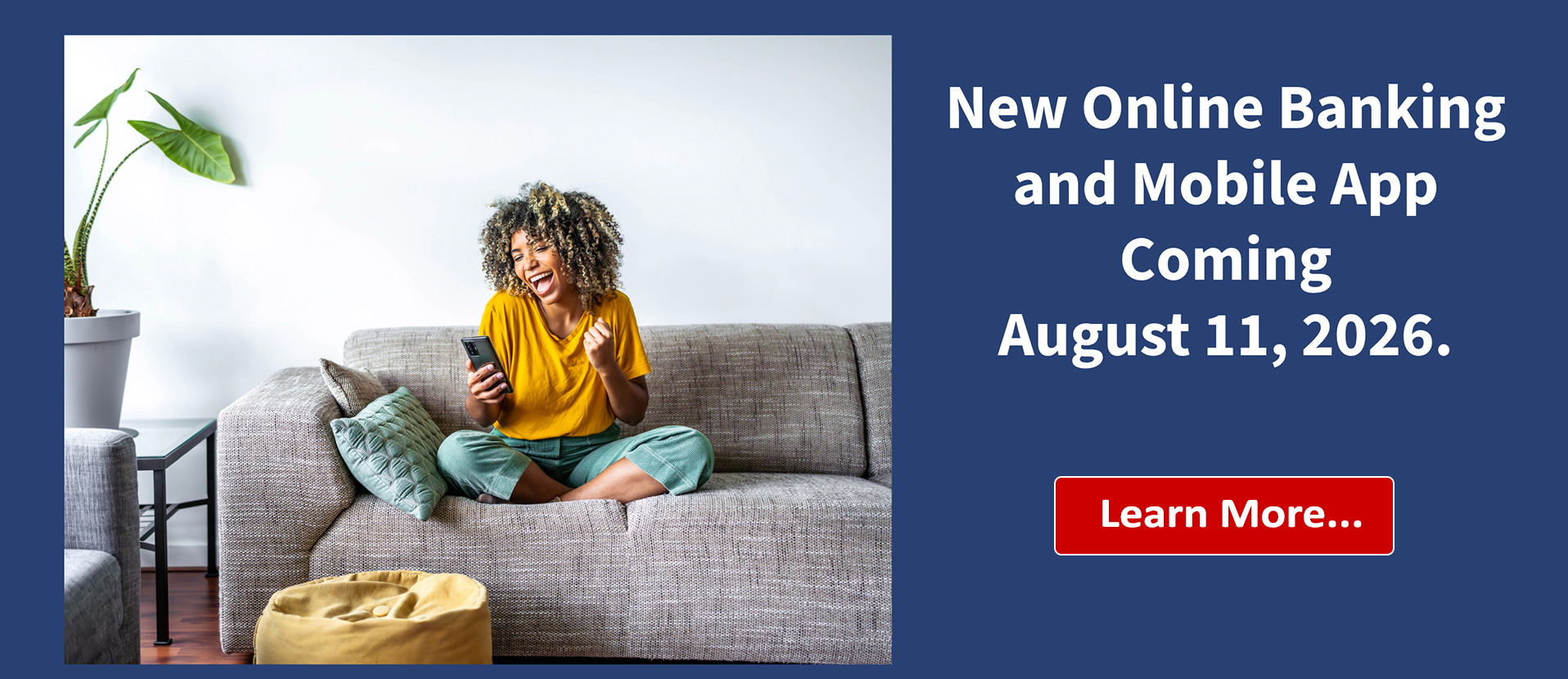 Online Banking Website Banner